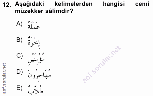 12. soru: Aşağıdaki kelimelerden hangisi cemi müzekker sâlimdir? A) alas إخْوَةٌ (B C) مؤمِنينِ مُهَاجِرُونَ (D E) "sib