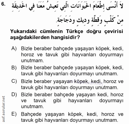 6. soru: Yukarıdaki cümlenin Türkçe doğru çevirisi aşağıdakilerden hangisidir? A) Bizle beraber bahçede yaşayan köpek, kedi, h…