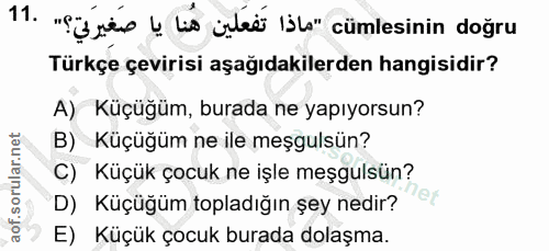 11. soru: "Siris y lis iștet Isbo" cümlesinin doğru Türkçe çevirisi aşağıdakilerden hangisidir? A) Küçüğüm, burada ne yapıyorsu…