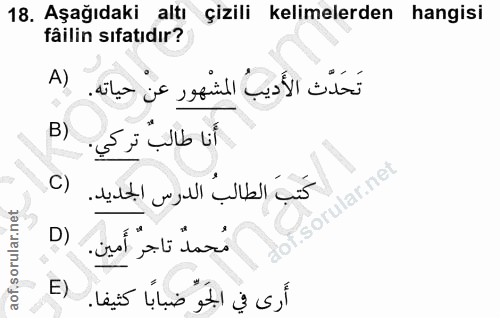 18. soru: Aşağıdaki altı çizili kelimelerden hangisi fâilin sıfatıdır? A) تَحَدَّث الأَديبُ المشْهور عنْ حياته. B) أَنا طالب تر…