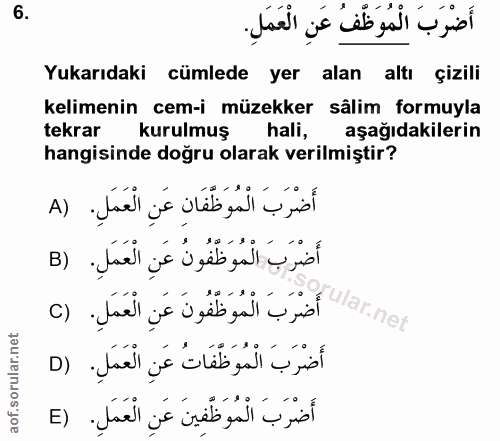 6. soru: أَضْرَبَ الْمُوَظَّفُ عَنِ الْعَمَلِ Yukarıdaki cümlede yer alan altı çizili kelimenin cem-i müzekker sâlim formuyla…