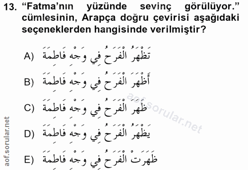 13. soru: "Fatma'nın yüzünde sevinç görülüyor." cümlesinin, Arapça doğru çevirisi aşağıdaki seçeneklerden hangisinde verilmişti…