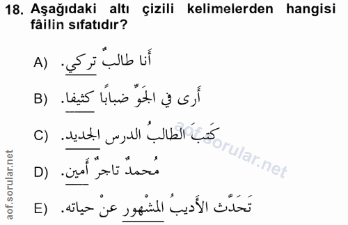 18. soru: Aşağıdaki altı çizili kelimelerden hangisi fâilin sıfatıdır? أنا طالب تركي. (A أَرى في الجَوِّ ضبابًا كثيفا. (B كَتب…