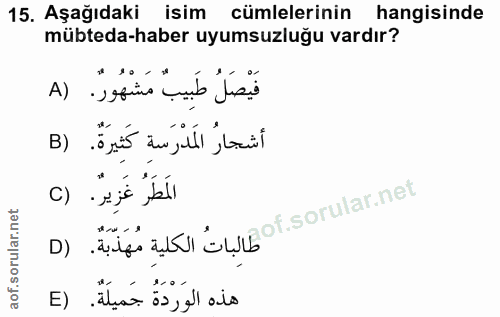 15. soru: Aşağıdaki isim cümlelerinin hangisinde mübteda-haber uyumsuzluğu vardır? فَيْصَلُ طَبِيب مَشْهُورٌ. (A أشجارُ المَدْر…