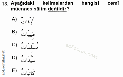 13. soru: Aşağıdaki kelimelerden hangisi cemi müennes sâlim değildir? A) أَوْقَاتْ B) طبيبَاتٌ C) مُسْلِمَاتٌ D) E)