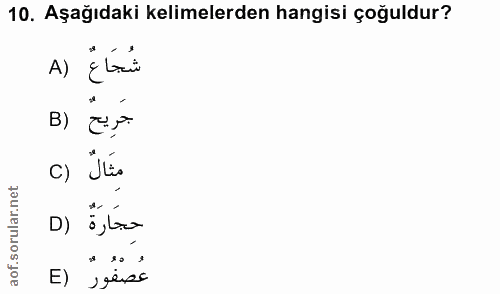 10. soru: Aşağıdaki kelimelerden hangisi çoğuldur? A) ¿ Lai B) c) Jtio حجَارةٌ (0 E) "yërss