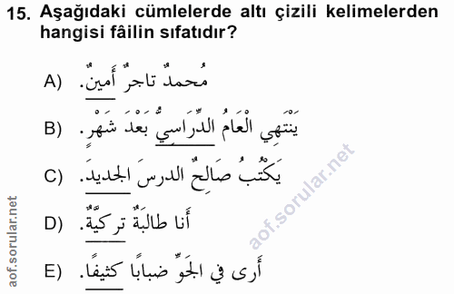 15. soru: Aşağıdaki cümlelerde altı çizili kelimelerden hangisi fäilin sıfatıdır? مُحمدٌ تاجرٌ أَمينٌ. (A يَنْتَهِي الْعَامُ ال…