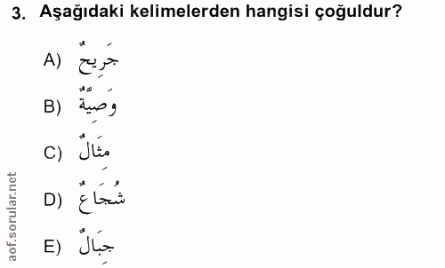 3. soru: Aşağıdaki kelimelerden hangisi çoğuldur? A) وَصِيَّةٌ (B c) Ïlis شُجَاعٌ (٥ E) Jo