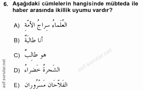 6. soru: Aşağıdaki cümlelerin hangisinde mübteda ile haber arasında ikillik uyumu vardır? A) العُلَماءُ سِراجُ الأمّةِ B) *ụlb…