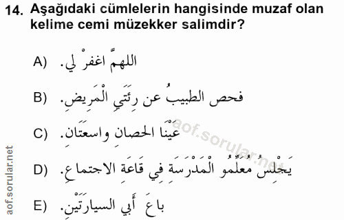 14. soru: Aşağıdaki cümlelerin hangisinde muzaf olan kelime cemi müzekker salimdir? اللهمّ اغفر لي. (A فحص الطبيبُ عن رِئَتَي ا…