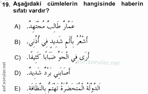19. soru: Aşağıdaki cümlelerin hangisinde haberin sıfatı vardır? عَمَّارٌ طَالِبٌ مُجْتَهِدٌ. (A أَشْعُرُ بِأَلَمِ شَدِيدٍ فِي…
