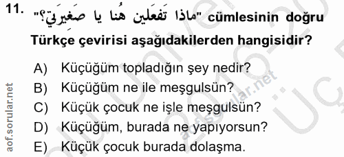 11. soru: "Sisis l Lis üstee lil" cümlesinin doğru Türkçe çevirisi aşağıdakilerden hangisidir? A) Küçüğüm topladığın şey nedir?…