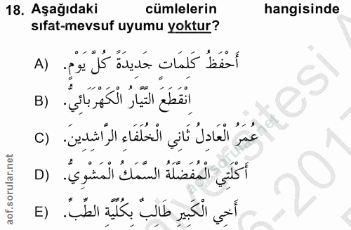 18. soru: Aşağıdaki cümlelerin hangisinde sıfat-mevsuf uyumu yoktur? A) أَحْفَظُ كَلِمَاتٍ جَدِيدَةً كُلِّ يَوْمٍ. اِنْقَطَعَ ا…