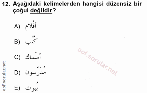 12. soru: Aşağıdaki kelimelerden hangisi düzensiz bir çoğul değildir? A) sti كُتُب (B C) Ilawl D) ¿gu, lo بُيوت (E