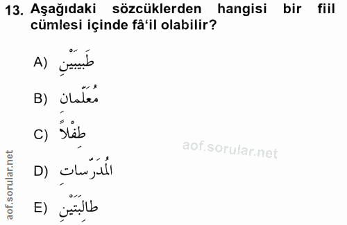 13. soru: Aşağıdaki sözcüklerden hangisi bir fiil cümlesi içinde få'il olabilir? طَبيبَيْنِ (A B) ¿lales c) säb D) chr, ill طال…