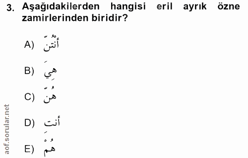 3. soru: Aşağıdakilerden hangisi eril ayrık özne zamirlerinden biridir? A) B) C) D) cil E) ns