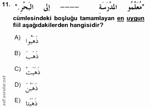 11. soru: إلى البَحْر." .11 "مُعَلِّمُو المدْرَسَةِ cümlesindeki boşluğu tamamlayan en uygun fiil aşağıdakilerden hangisidir? A…