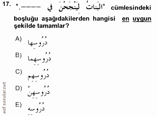 17. soru: ".- s jori 'Bll" cümlesindeki boşluğu aşağıdakilerden hangisi en uygun şekilde tamamlar? A) دُرُوسِها B) دُرُوسِهِما…