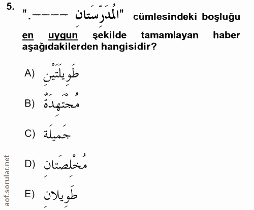 5. soru: isteyul!" cümlesindeki boşluğu en uygun şekilde tamamlayan haber aşağıdakilerden hangisidir? طَوِيلَتينِ (A مُجْتَهِد…