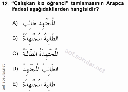 12. soru: "Çalışkan kız öğrenci" tamlamasının Arapça ifadesi aşağıdakilerden hangisidir? المُجْتَهِد طالِب (A الطّالبَةُ المُجْ…
