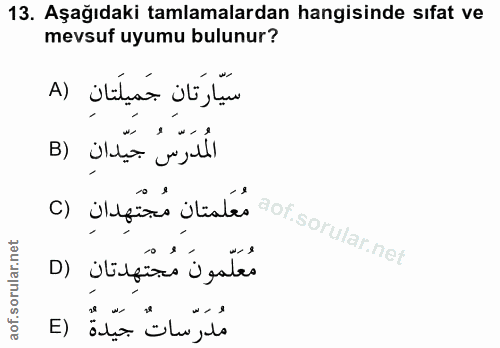 13. soru: Aşağıdaki tamlamalardan hangisinde sıfat ve mevsuf uyumu bulunur? سَيَّارَتانِ جَمِيلَتَانِ (A المدرس جيدان (B مُعَلّ…