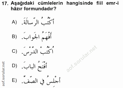 17. soru: Aşağıdaki cümlelerin hangisinde fiil emr-i hâzır formundadır? أكْتُبُ الرّسالَةَ. (A أَفْهَمُ الجَواب. (B اُكْتَبْ ال…