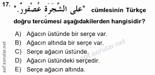 17. soru: "" "ess ö ül d" cümlesinin Türkçe doğru tercümesi aşağıdakilerden hangisidir? A) Ağacın üstünde bir serçe var. B) Ağa…