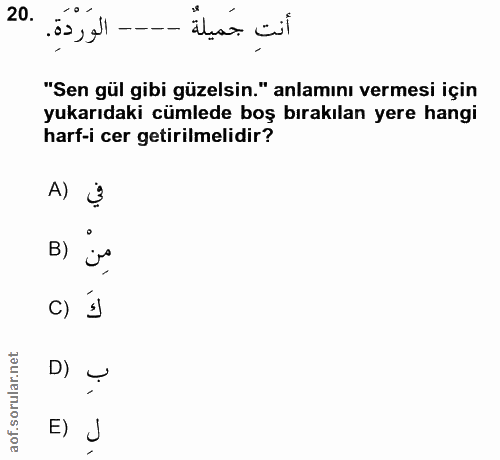 20. soru: absa cil "Sen gül gibi güzelsin." anlamını vermesi için yukarıdaki cümlede boş bırakılan yere hangi harf-i cer getiri…