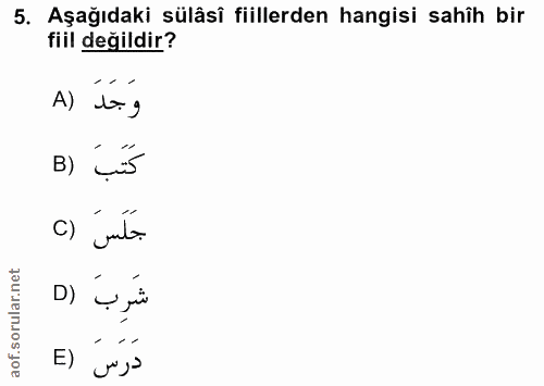 5. soru: Aşağıdaki sülâsî fiillerden hangisi sahîh bir fiil değildir? A) ts g B) Lís جَلَسَ () شرِب درس (E