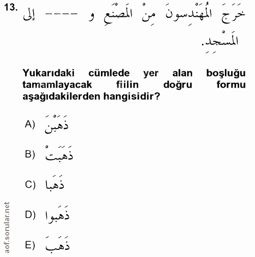 13. soru: إلى .13 خَرَجَ الْمُهَنْدِسونَ مِنْ الَمَصْنَعِ و المَسْجِدِ. Yukarıdaki cümlede yer alan boşluğu tamamlayacak fiilin…
