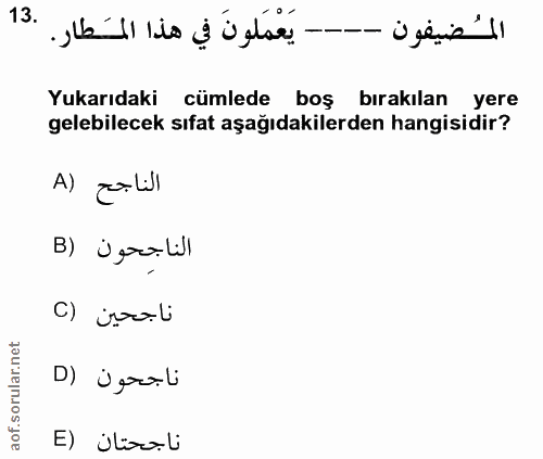 13. soru: - ü jenie '11 Yukarıdaki cümlede boş bırakılan yere gelebilecek sıfat aşağıdakilerden hangisidir? A) zo lill B) Ügraş…
