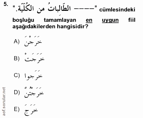 5. soru: s " bb ı ¡e ü!la| - -" cümlesindeki boşluğu tamamlayan en uygun fiil aşağıdakilerden hangisidir? خَرَجْنَ (A خَرَجَتْ…