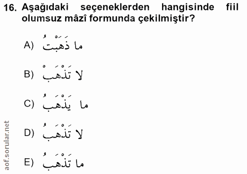 16. soru: Aşağıdaki seçeneklerden hangisinde fiil olumsuz mâzî formunda çekilmiştir? ما ذَهَبْتُ لا تَذْهَبْ (B يَذْهَبُ () Lo…