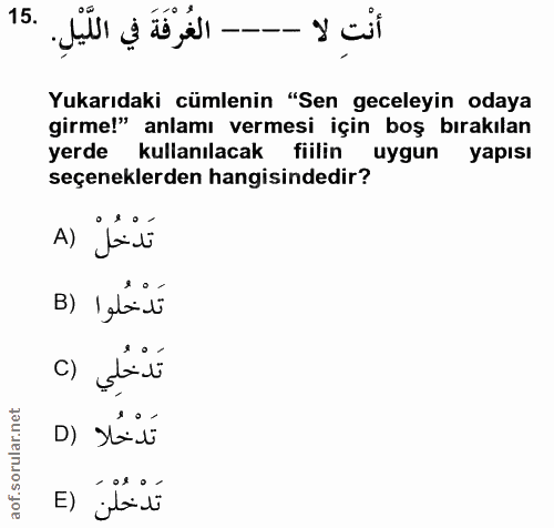 15. soru: أنْتِ لا --- الغُرْفَةَ في اللَّيْلِ. Yukarıdaki cümlenin "Sen geceleyin odaya girme!" anlamı vermesi için boş bırakı…