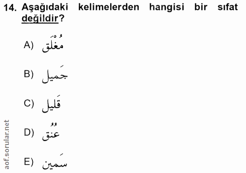 14. soru: Aşağıdaki kelimelerden hangisi bir sıfat değildir? A) ites جَميل (B C) Juli D) jüs E) isau