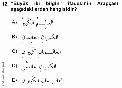 12. soru: "Büyük iki bilgin" ifadesinin Arapçası aşağıdakilerden hangisidir? العالِمُ الكَبيرُ (A الكَبيرانِ العالِمانِ (B c) i…