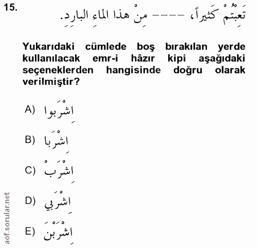 15. soru: تَعبتمْ كَثيراً، • so Yukarıdaki cümlede boş bırakılan yerde kullanılacak emr-i hâzır kipi aşağıdaki seçeneklerden ha…