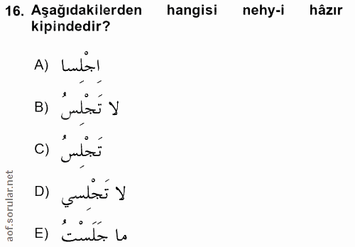 16. soru: Aşağıdakilerden hangisi nehy-i hâzir kipindedir? اجْلِسا (A لا تَجْلِسُ (B تَجْلِسُ () لا تَجْلِسي (D ما جَلَسْتُ (E