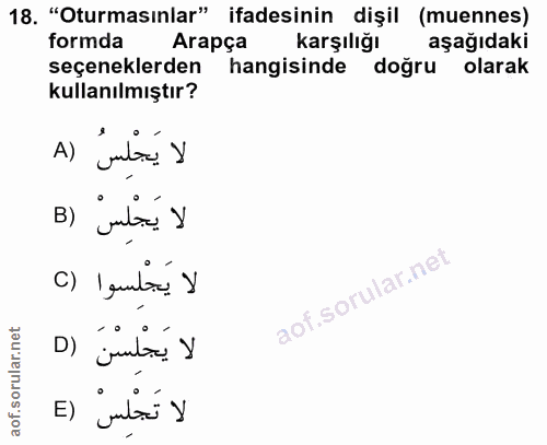 18. soru: "Oturmasınlar" ifadesinin dişil (muennes) formda Arapça Karşılığı aşağıdaki seçeneklerden hangisinde doğru olarak kul…