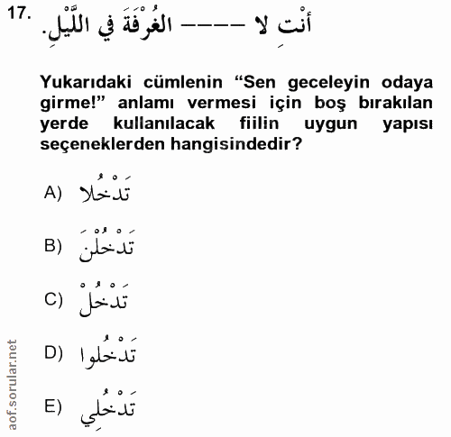 17. soru: أنت لا Yukarıdaki cümlenin "Sen geceleyin odaya girme!" anlamı vermesi için boş bırakılan yerde kullanılacak fiilin u…