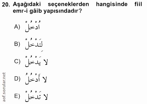 20. soru: Aşağıdaki seçeneklerden hangisinde fiil emr-i gâib yapısındadır? A) لَتَدْخُلْ لا يدخل D) لا تَدْخُلْ (E