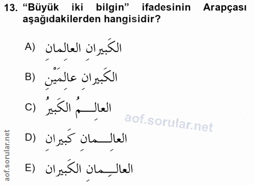 13. soru: "Büyük iki bilgin" ifadesinin Arapçası aşağıdakilerden hangisidir? الكَبيرانِ العالِمانِ (A الكَبيرانِ عالِمَيْنِ (B…