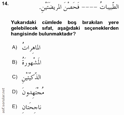 14. soru: الطّبيباتُ Yukarıdaki cümlede boş bırakılan yere gelebilecek sıfat, aşağıdaki seçeneklerden hangisinde bulunmaktadır?…
