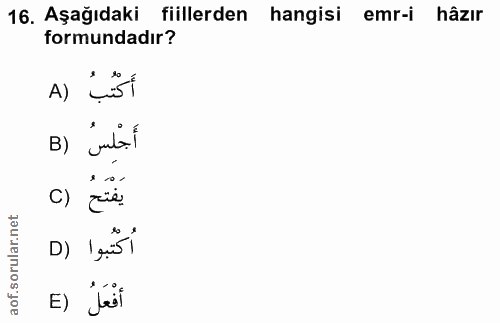 16. soru: Aşağıdaki fiillerden hangisi emr-i hâzır formundadır? A) أَكْتُبُ B) Judol يَفْتَحُ () اكتُبوا (D E) jest