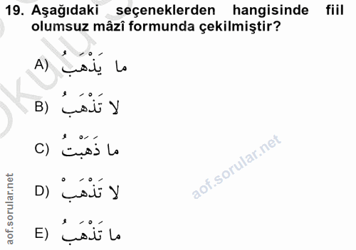 19. soru: Aşağıdaki seçeneklerden hangisinde fiil olumsuz mâzî formunda çekilmiştir? A) Lal! lo B) ¿sí y D) ¿ólí y