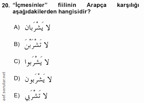 20. soru: "İçmesinler" fiilinin Arapça karşılığı aşağıdakilerden hangisidir? A) Ül jin. y B) j jiñ y لا يَشْرَبوا () D) ig rin.…