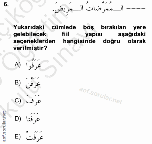 6. soru: --- المُمَرِّضَاتُ المَرِيضَ. Yukarıdaki cümlede boş bırakılan yere gelebilecek fiil yapısı aşağıdaki seçeneklerden h…