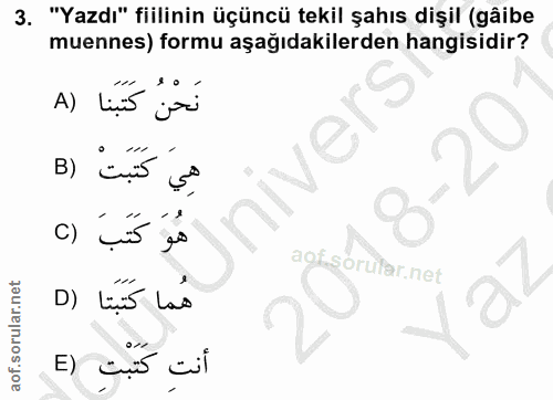 3. soru: "Yazdı" fiilinin üçüncü tekil şahıs dişil (gâibe mennes) formu aşağıdakilerden hangisidir? نَحْنُ كَتَبَنا (A ivers ك…