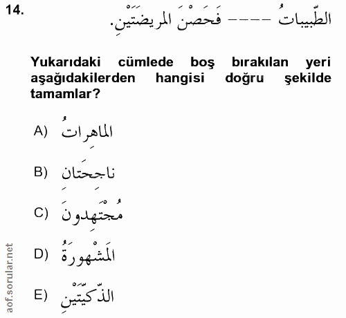 14. soru: الطّبيباتُ ---- فَحَصْنَ المريضَتَيْنِ. Yukarıdaki cümlede boş bırakılan yeri aşağıdakilerden hangisi doğru şekilde t…