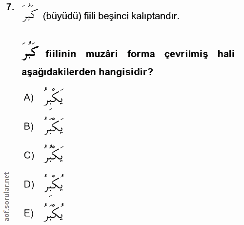 7. soru: (büyüdü) fili beşinci kalıptandır. fiilinin muzâri forma çevrilmiş hali aşağıdakilerden hangisidir? A) B) C) D) E)